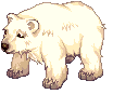Shadow Polar Bear